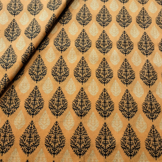 Printed lawn 2pc
